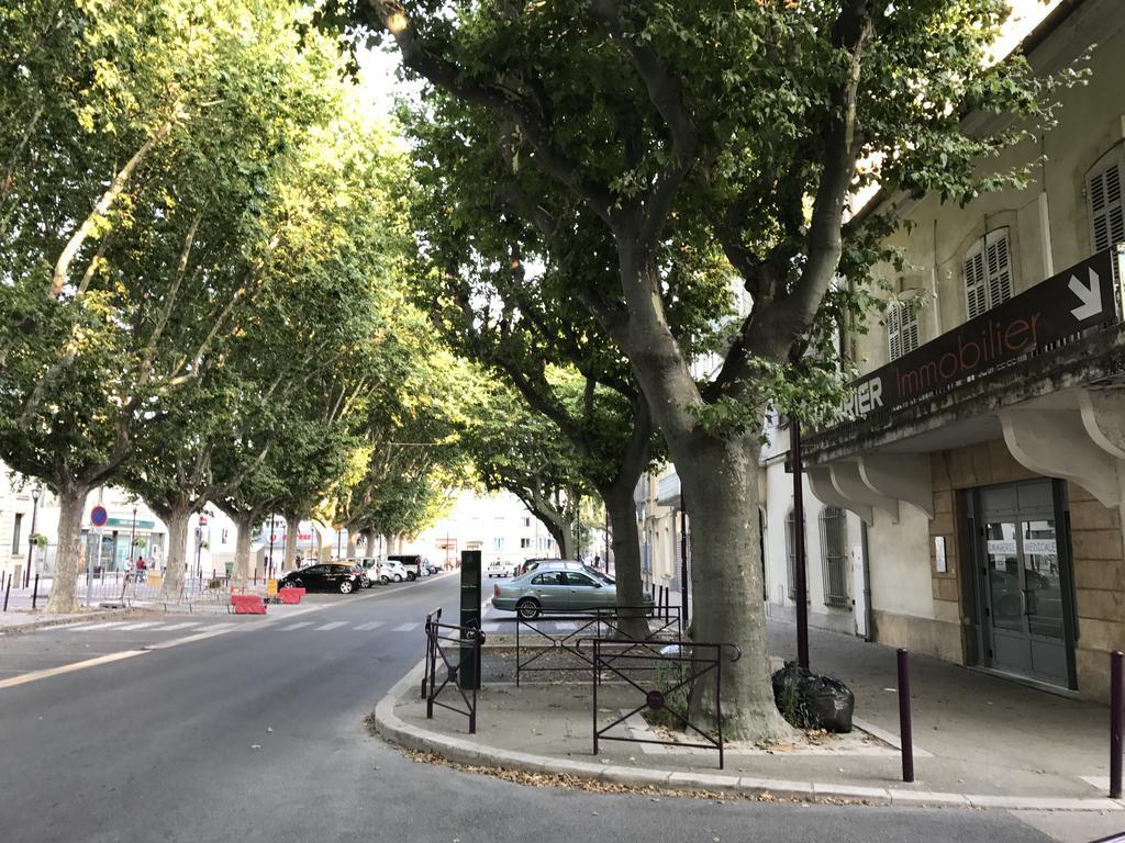 Appartements Entre Provence Et Camargue Tarascon Ngoại thất bức ảnh